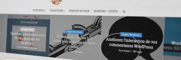 wpformation Profile Banner