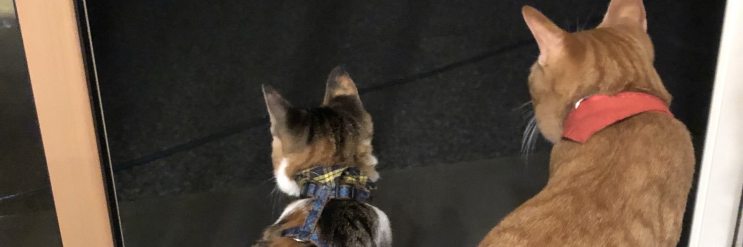 zawanow's profile banner image