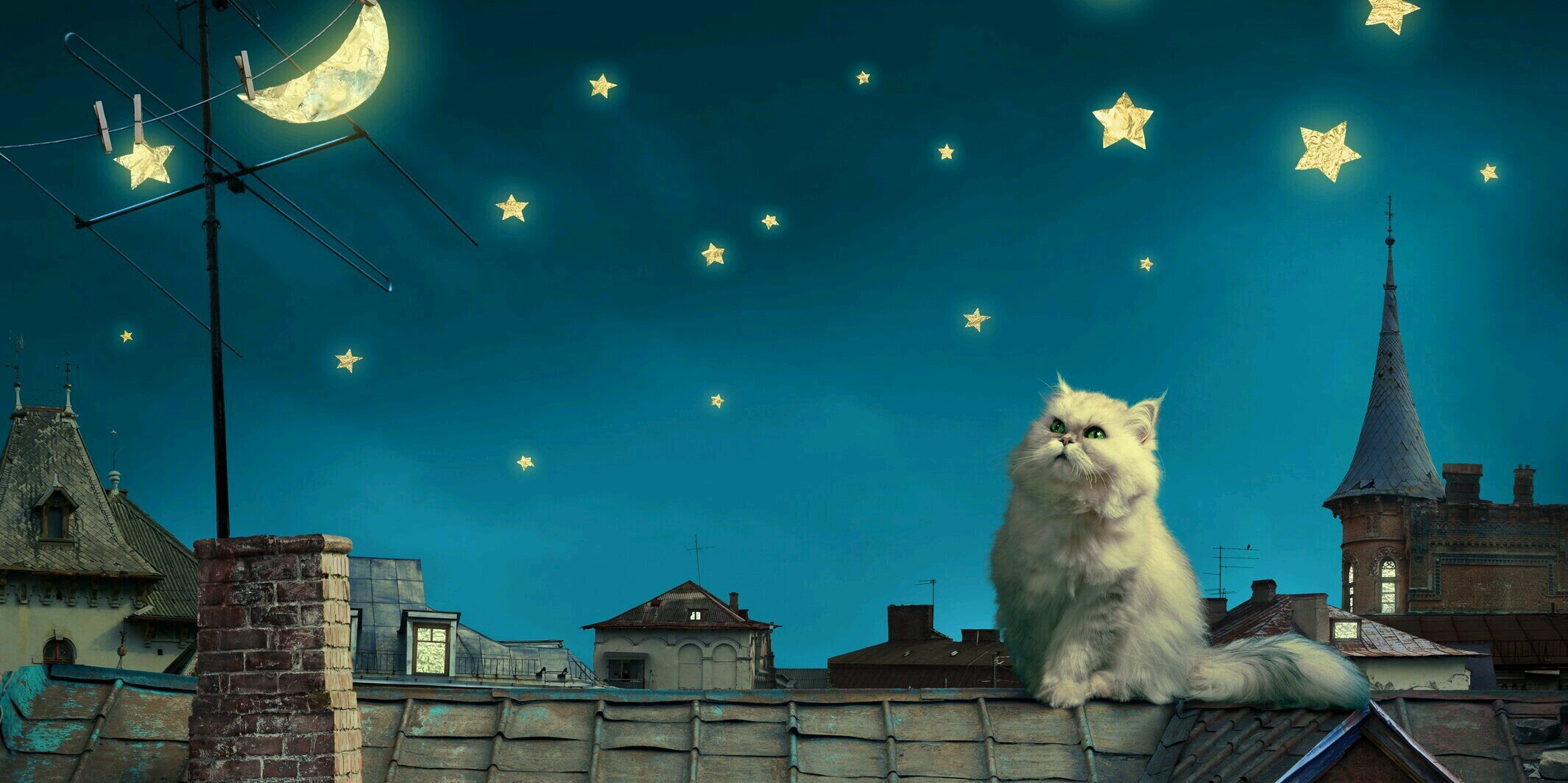 j_biton's profile banner image