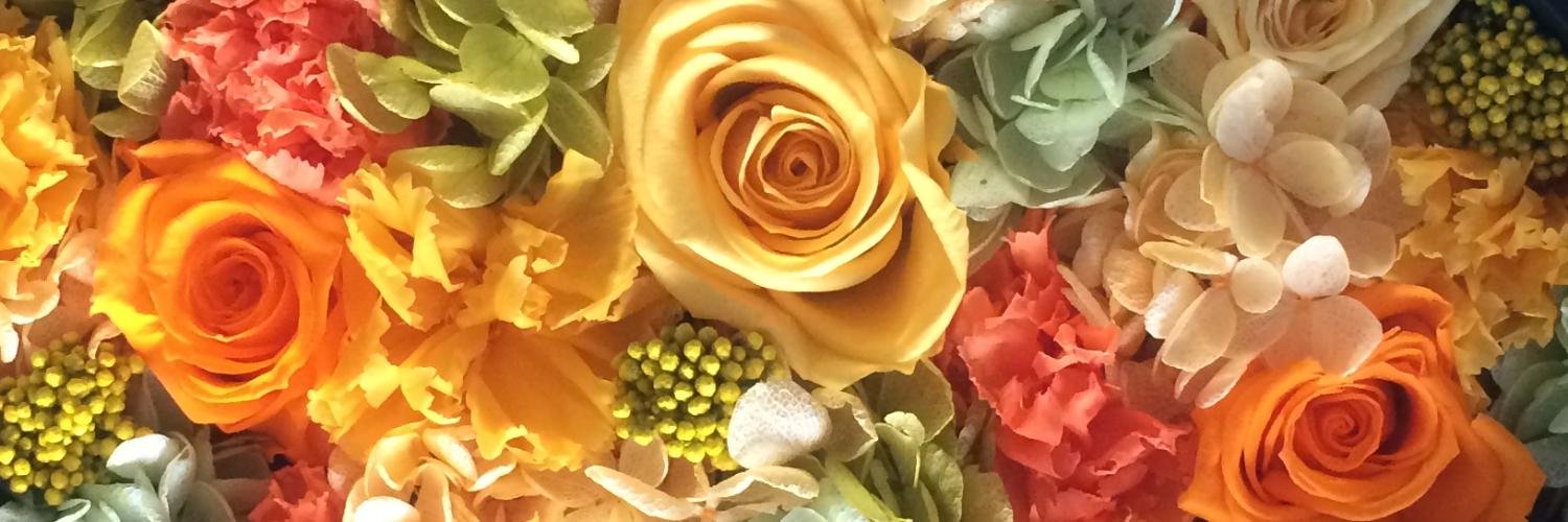 ayaka123's profile banner image