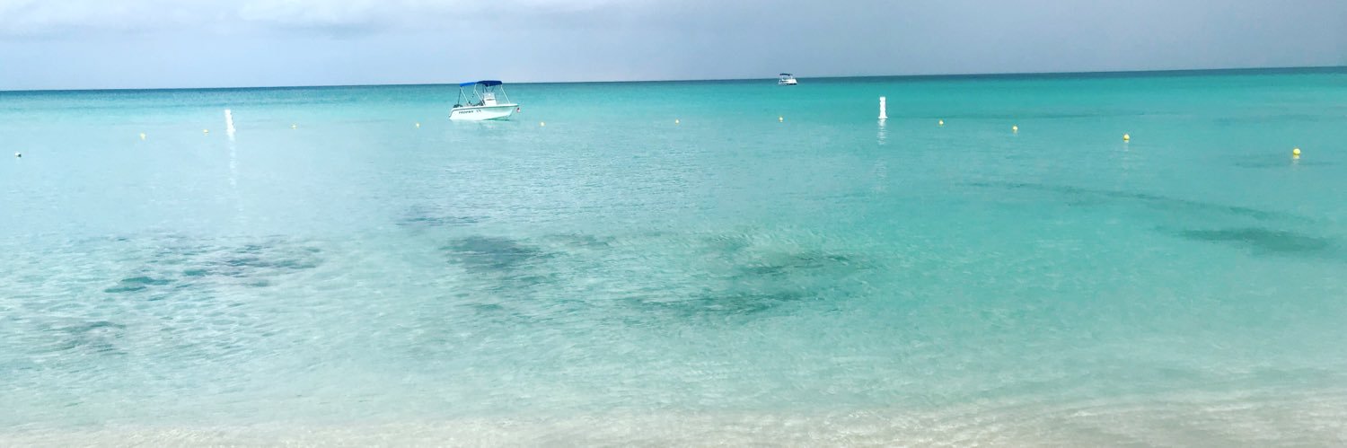 traceyhudson2's profile banner image