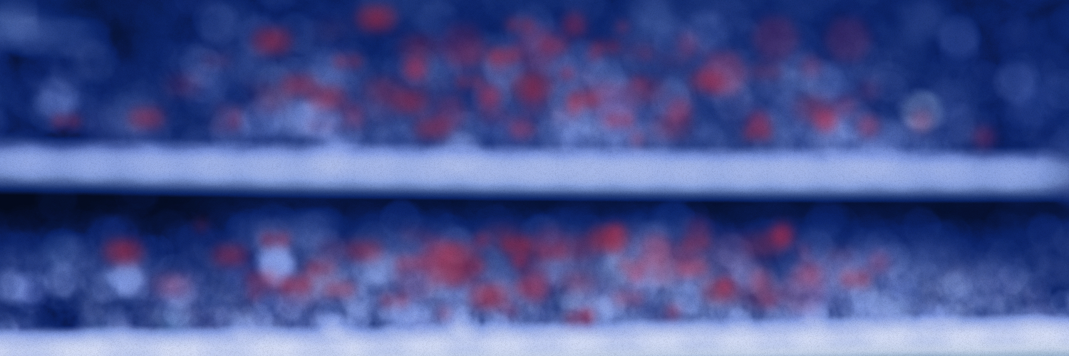 the_best_ginger's profile banner image
