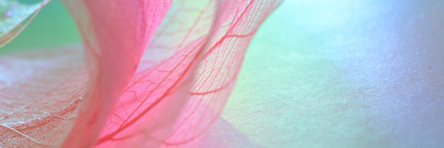 siJeanette's profile banner image
