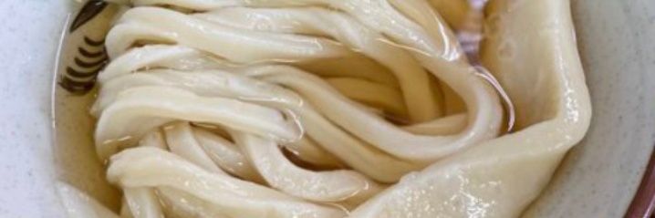 おがっつ@こげら。'26 banner