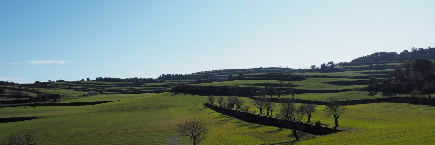 TorrefetaiFlorejacs banner