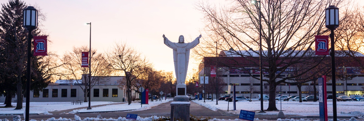 University of Detroit Mercy banner