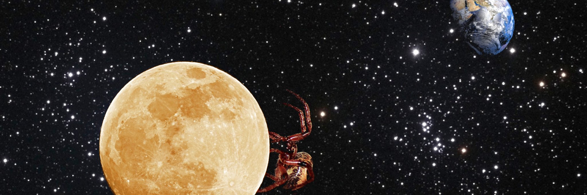 RayQRZhang's profile banner image