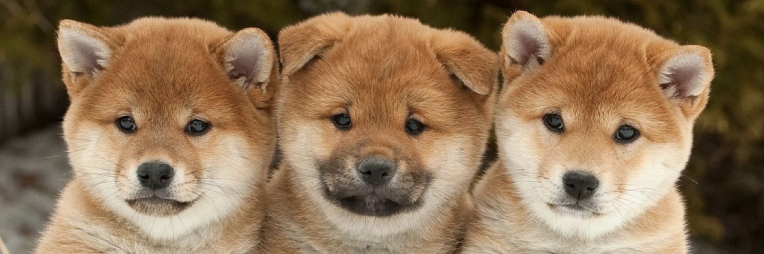 ___keeei's profile banner image