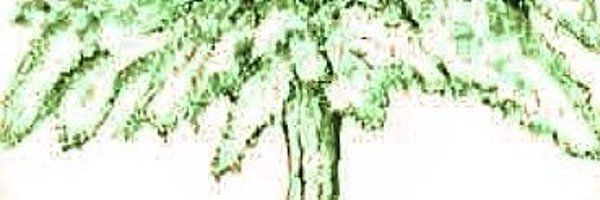 deborahswords Profile Banner