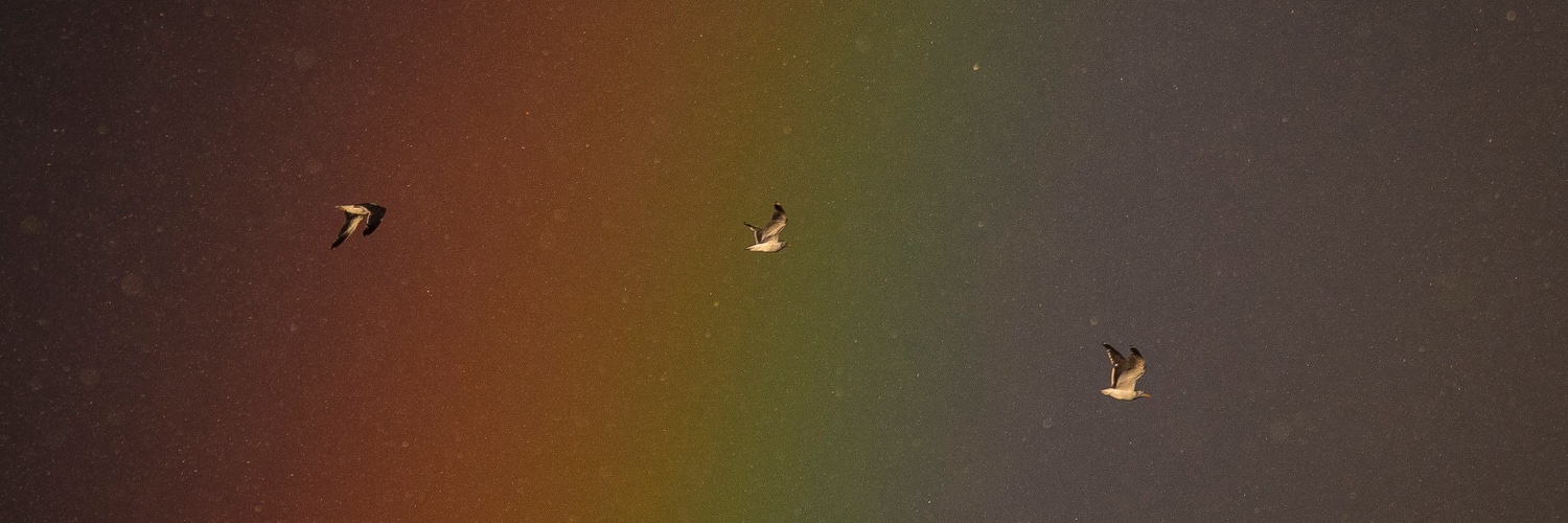 MarkHawkns's profile banner image