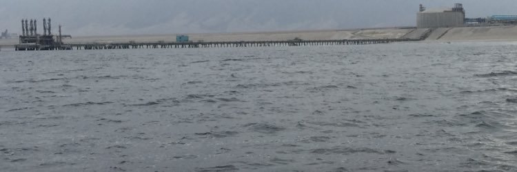 petergoldd's profile banner image