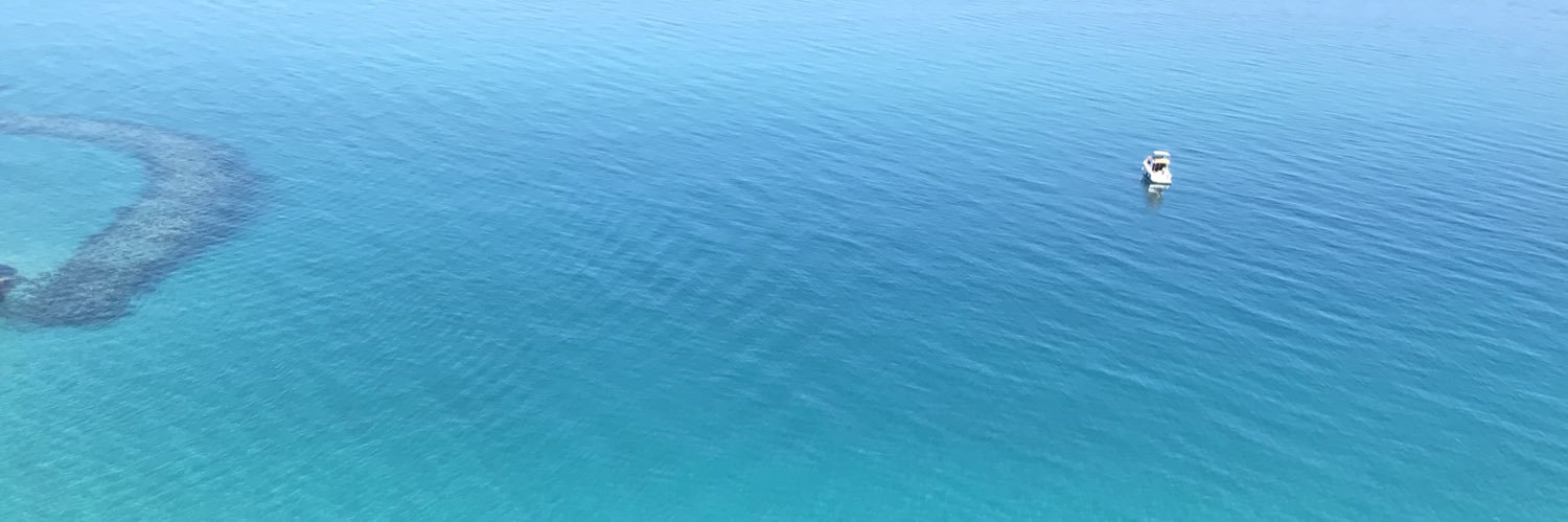 linda van beest banner