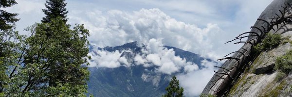 msmaor Profile Banner