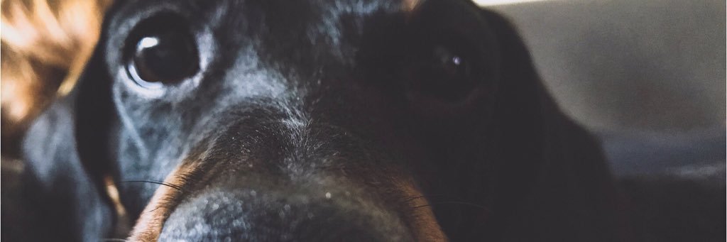 Ludovica aka MORGADEC OBSESSED banner