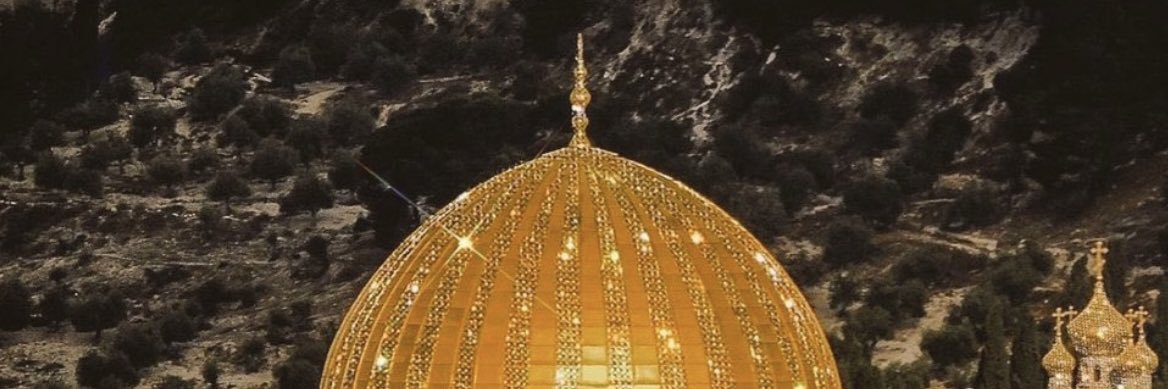 MoHa_aljerbi's profile banner image