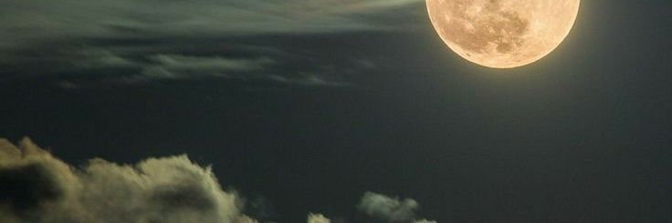 daiaramdc's profile banner image