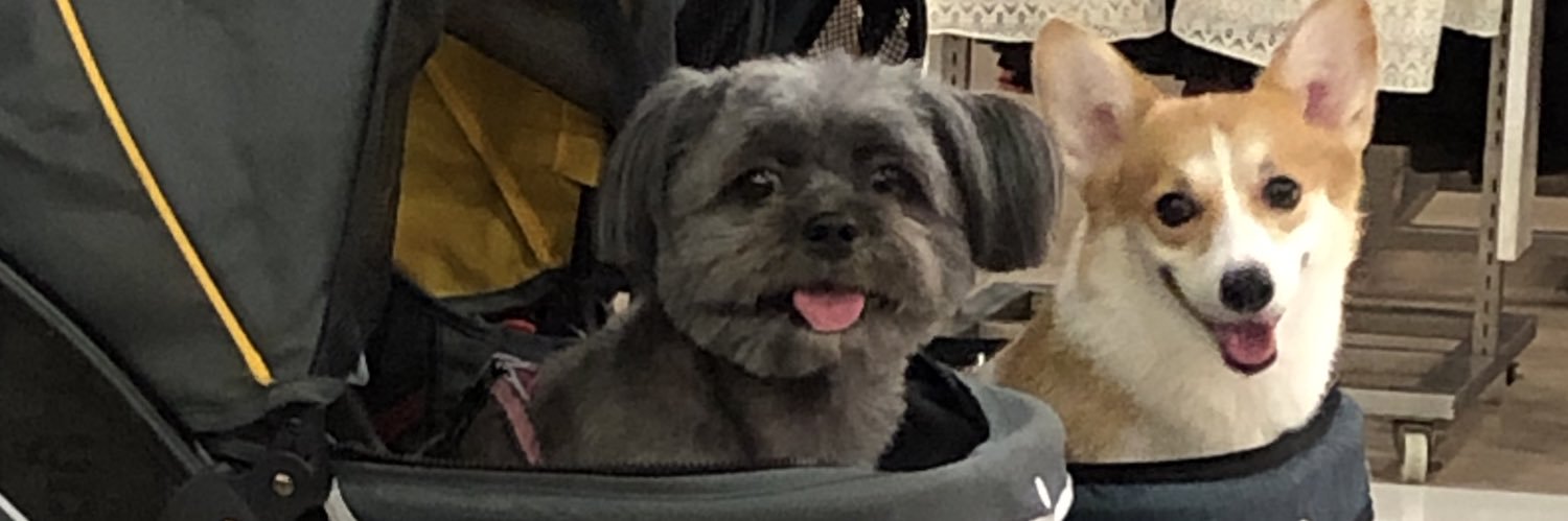 sokateme's profile banner image
