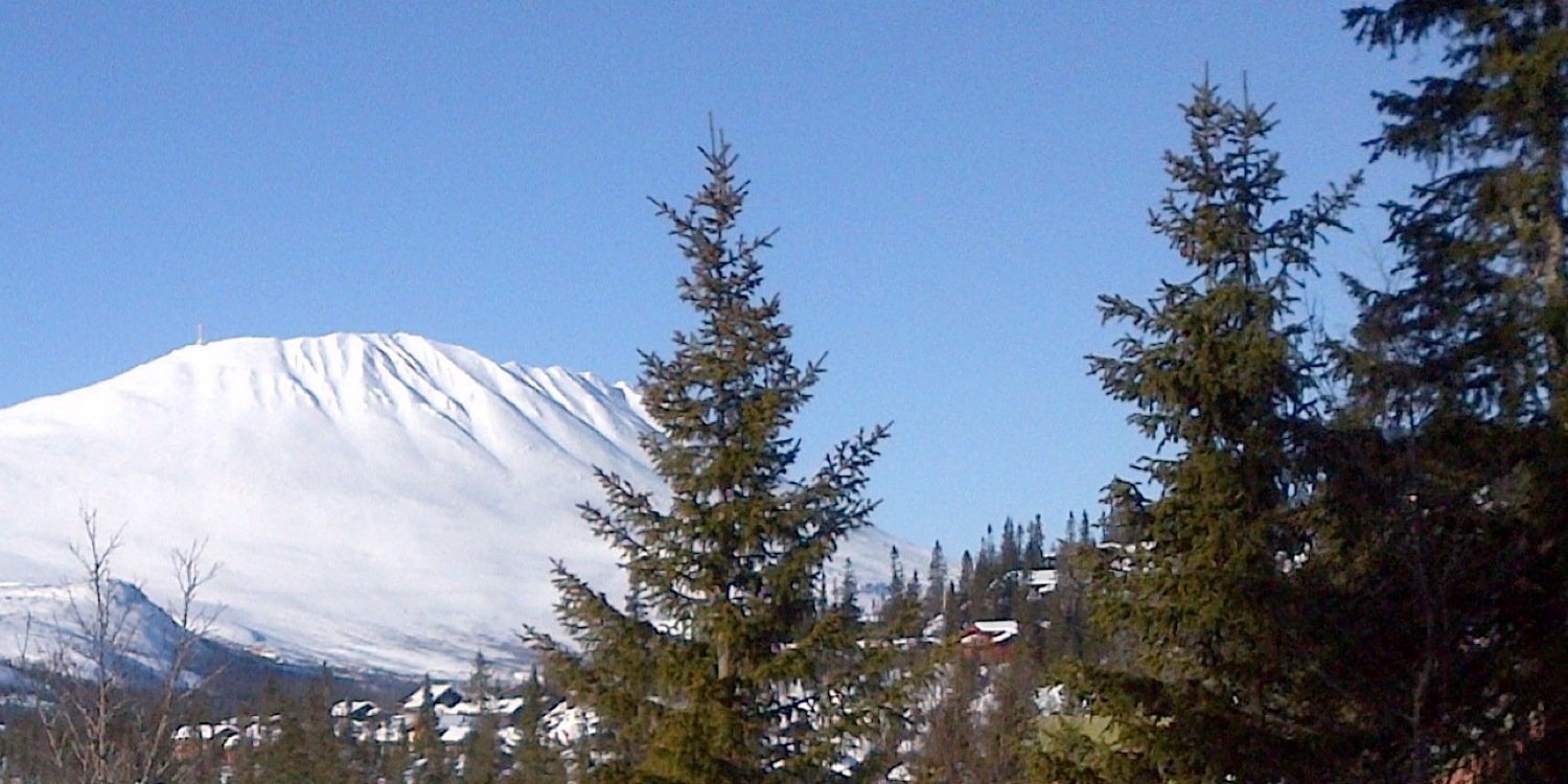 tunges's profile banner image