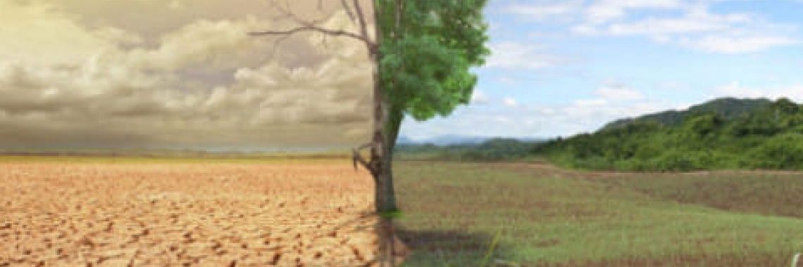 شبكة البراري للطقس والبيئة banner