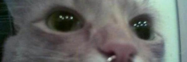notilluso's profile banner image