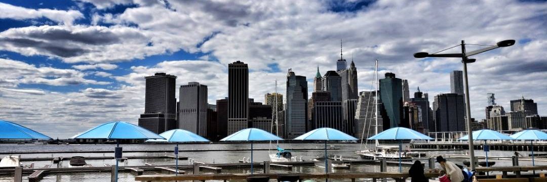 Virginia Sharma banner