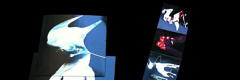 luis__rosas's profile banner image