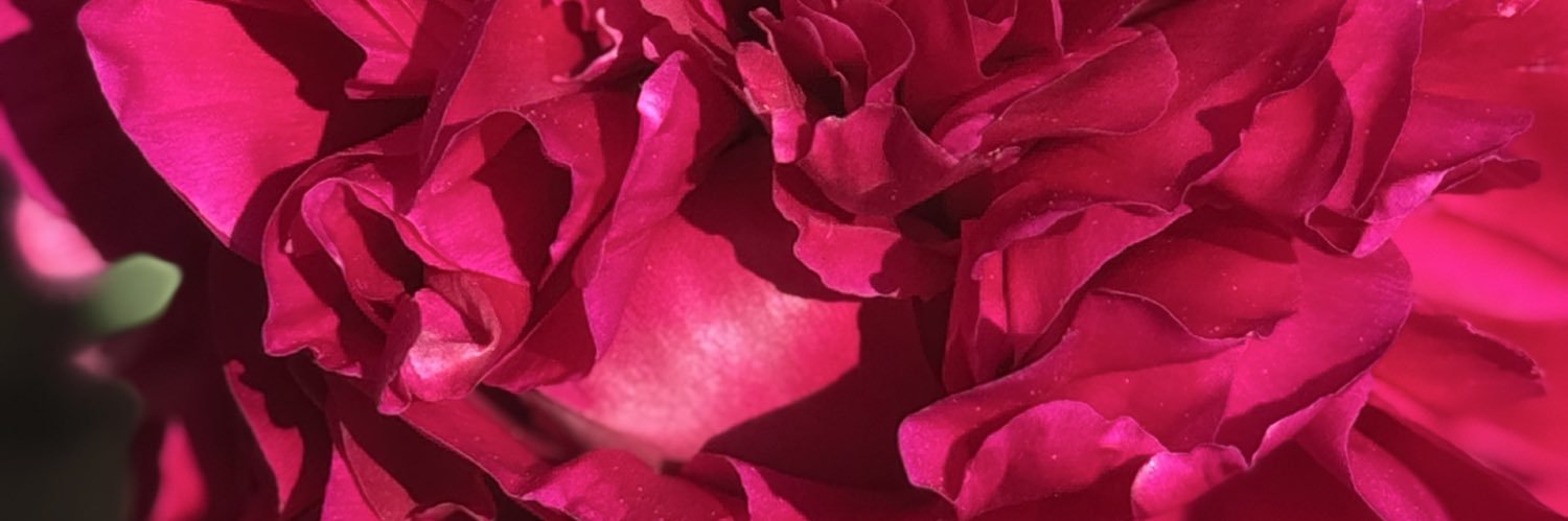 TrishSutterPMP's profile banner image