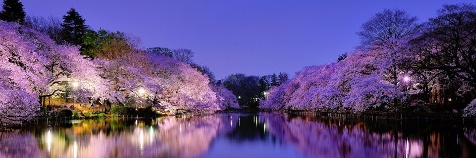 MPSensei's profile banner image