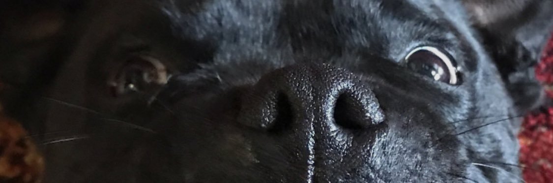 tpouda's profile banner image