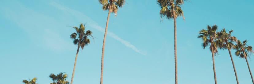 msbecsullivan's profile banner image