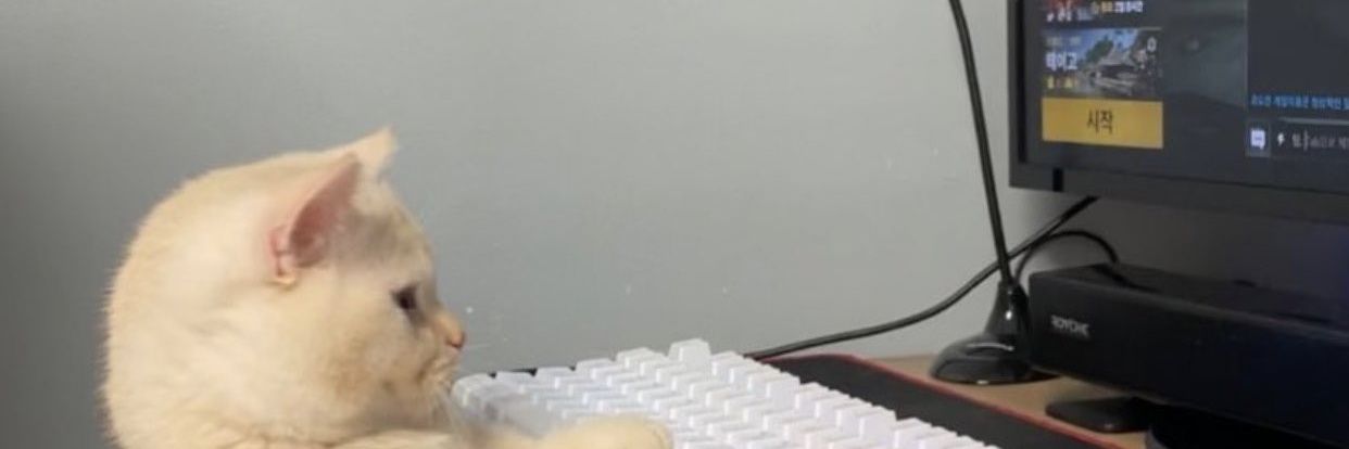 moonlighday's profile banner image
