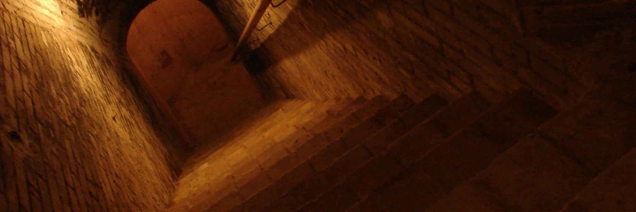 ciarga_cat's profile banner image