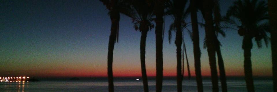 marco_a_vidal's profile banner image