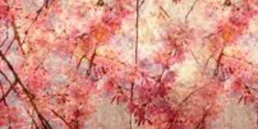 Charlotte Lord banner