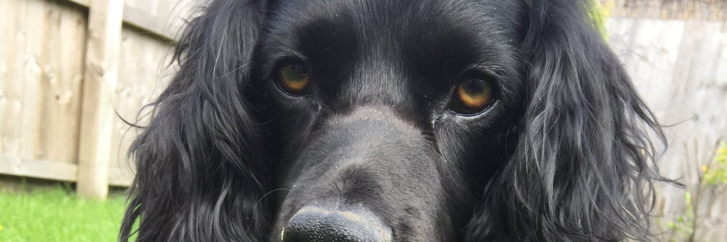 Jordan MacDonald❤️ banner