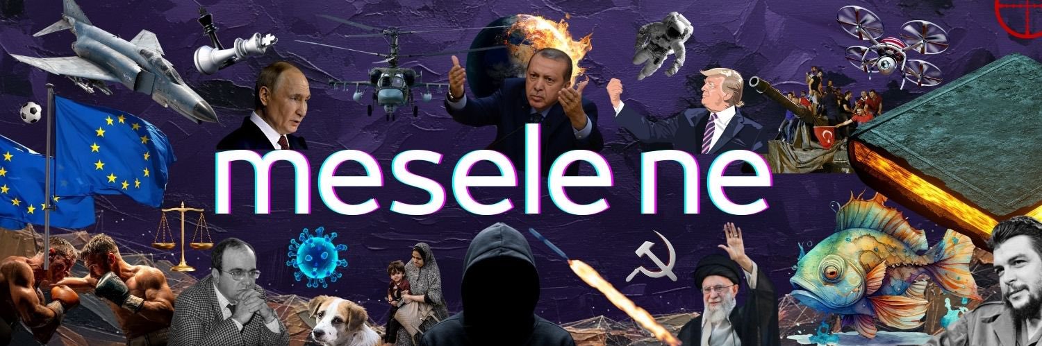 meselenedi's profile banner image