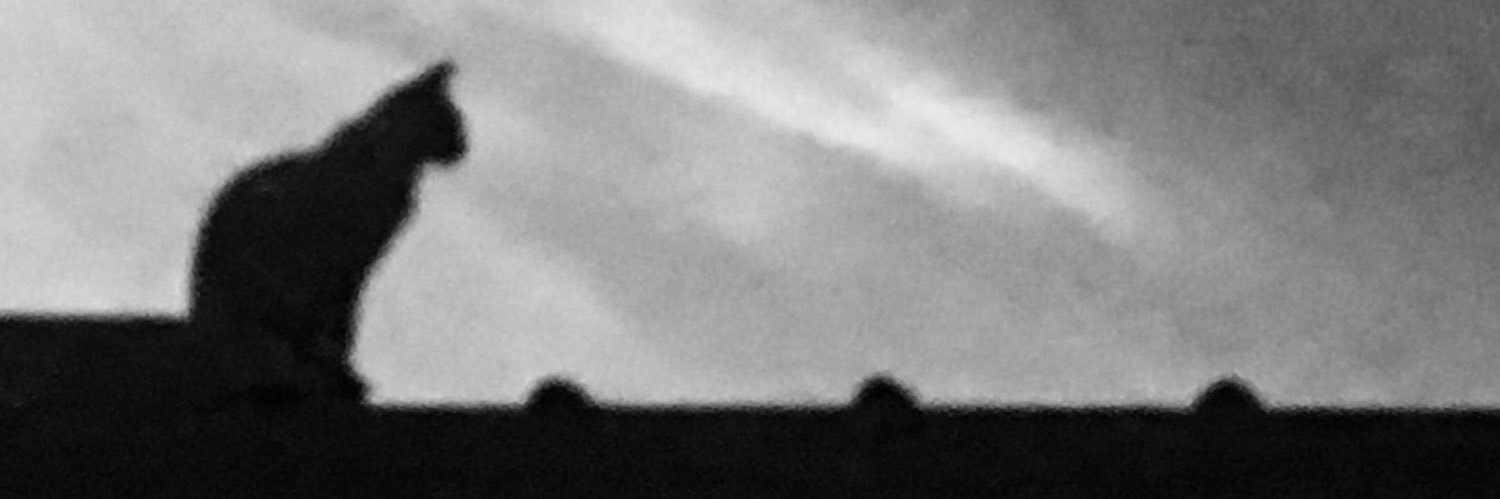 DottoreBizzari's profile banner image