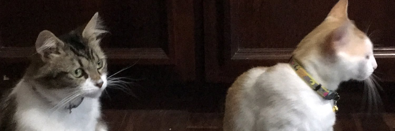 Jaculled's profile banner image