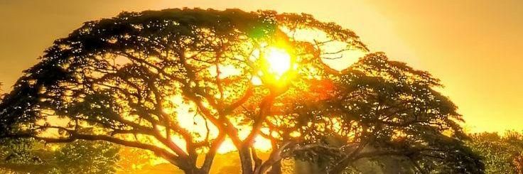 דוֹקטוֹר גדול / Great banner