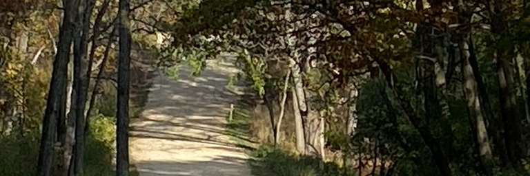 Running Goose banner