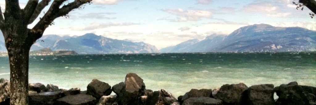 PalkoStephens's profile banner image