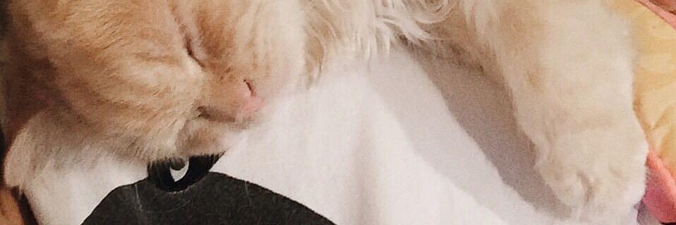 ohmx's profile banner image