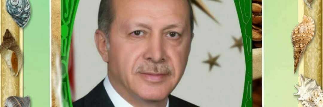 salihayunusoglu's profile banner image