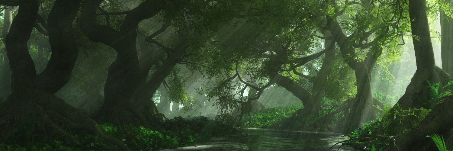 Suraiel's profile banner image
