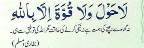 shamsi14's profile banner image