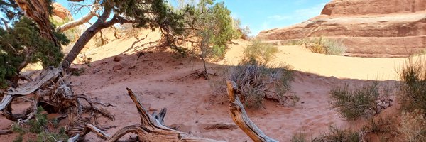 bk_leigh Profile Banner