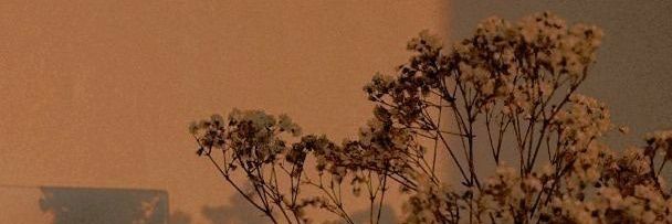 pinkbdnk's profile banner image