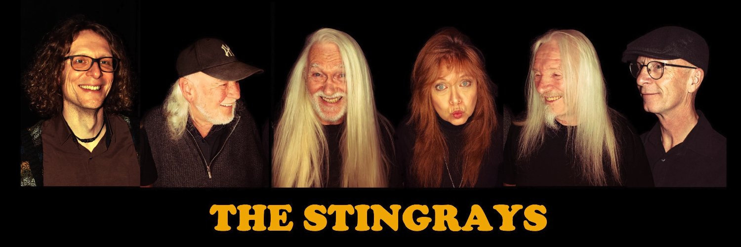 Stingrays_OL's profile banner image