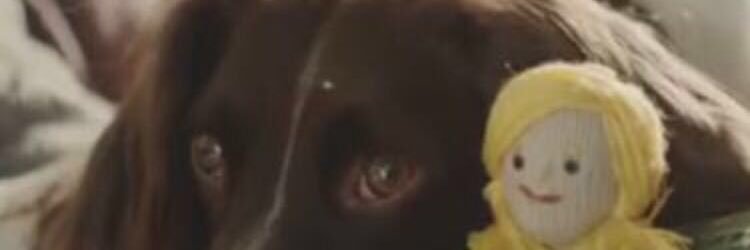 cococrhodes's profile banner image