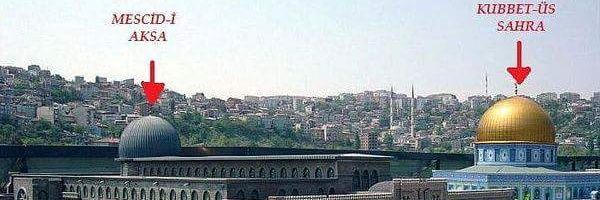 mahmutseh's profile banner image